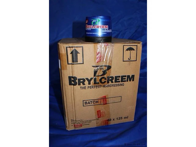 48 x 125ml hairstyling anti-schilfers - afbeelding 1 van  1