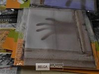 ±49 halloweendeco - afbeelding 2 van  3