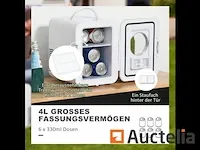4l koelkast van auto cooler mini koelkast - afbeelding 1 van  11