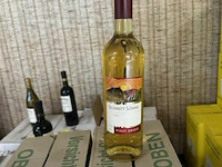 4x 1 doos schmitt sohne pinot grigio 2009 - afbeelding 1 van  4