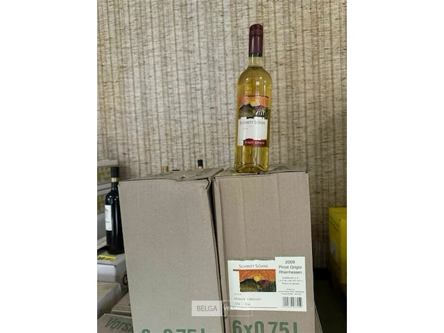 4x 1 doos schmitt sohne pinot grigio 2009 - afbeelding 1 van  3