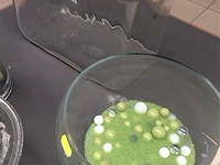 4x items glas met inhoud - afbeelding 3 van  3