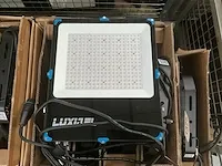 4x luxibel expoflood