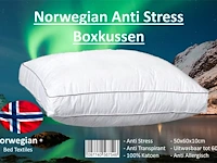 4x norwegian anti-stress boxkussen