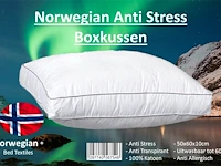 4x norwegian anti-stress boxkussen