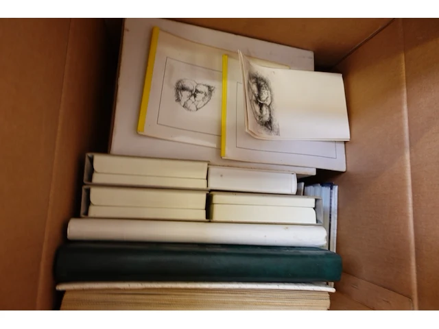 4x pallet diversen - afbeelding 3 van  13