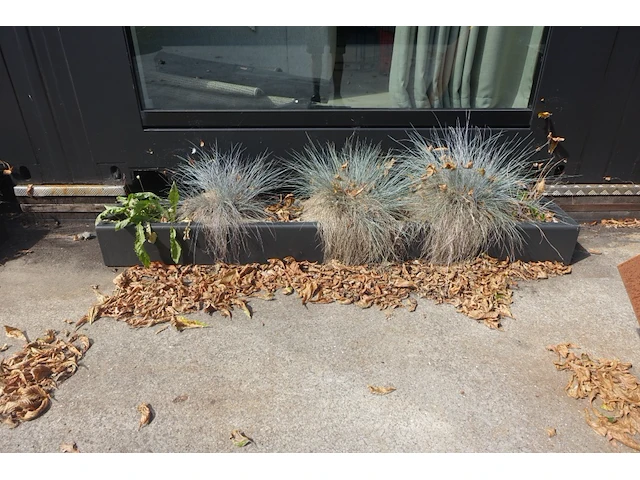 4x pvc plantenbakken - afbeelding 1 van  2