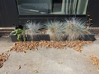 4x pvc plantenbakken - afbeelding 1 van  2