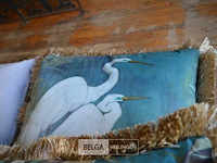 5 diversen kussens - afbeelding 3 van  4