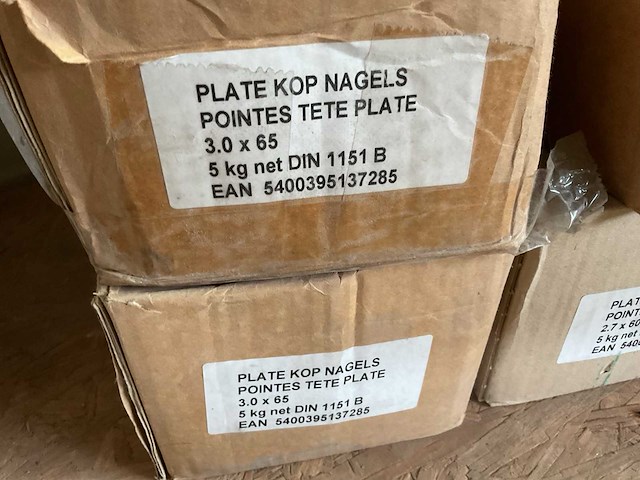 5 dozen nagels; platte kop - afbeelding 2 van  5