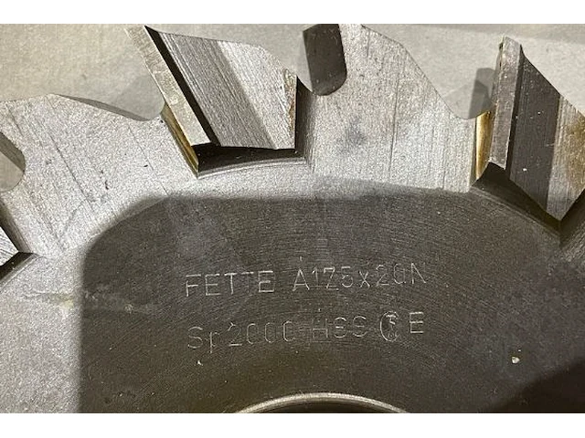 5 fette schijffrezen - afbeelding 4 van  5