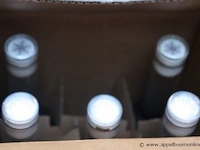 5 flessen à 70cl vodka laplandia - afbeelding 3 van  3