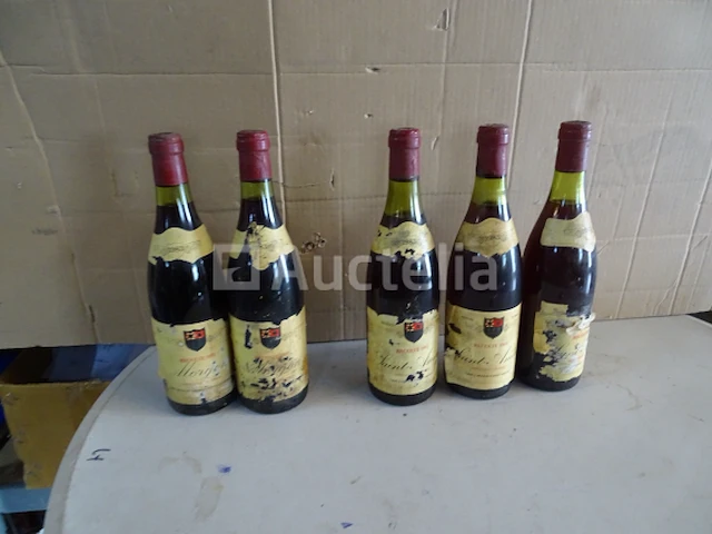 5 flessen beaujolais (morgon, saint-amour) 1983 - afbeelding 1 van  7