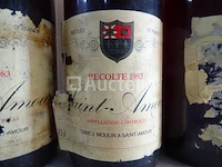 5 flessen beaujolais (morgon, saint-amour) 1983 - afbeelding 7 van  7