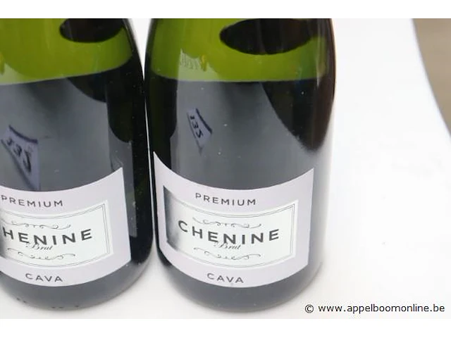 5 flessen cava chenine - afbeelding 2 van  2