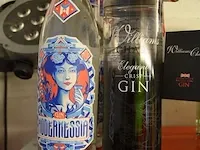 5 flessen crisp gin williams chase 70cl , 5 flessen gin modernessia 70cl (660,661) - afbeelding 3 van  3