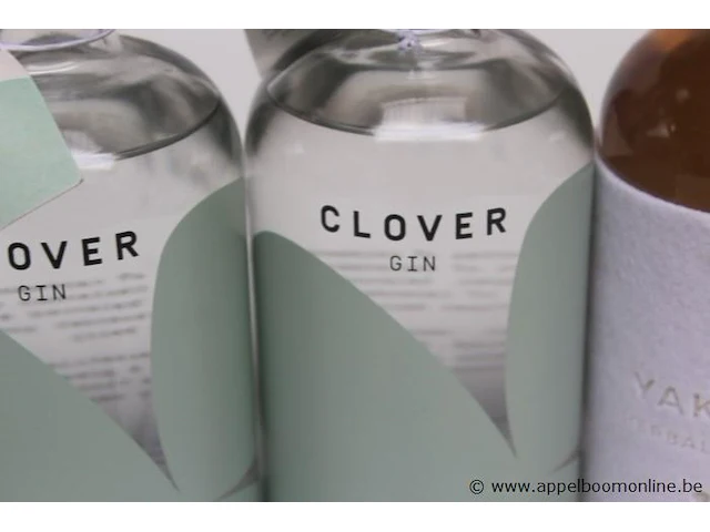 5 flessen divers gin wo clover - afbeelding 3 van  3