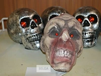 5 halloween skulls - afbeelding 2 van  4