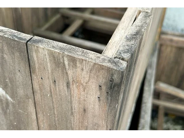 5 houten bakken op wieltjes - afbeelding 3 van  3