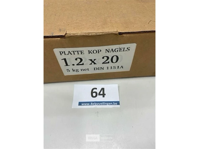 5 kg nagels met platte kop 1,2 x 20 mm - afbeelding 2 van  3