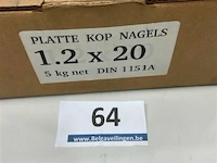 5 kg nagels met platte kop 1,2 x 20 mm - afbeelding 2 van  3
