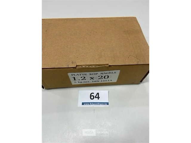 5 kg nagels met platte kop 1,2 x 20 mm - afbeelding 3 van  3