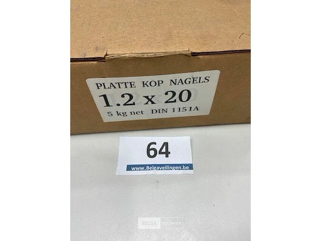 5 kg nagels met platte kop 1,2x20mm - afbeelding 1 van  3