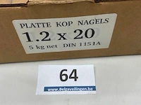 5 kg nagels met platte kop 1,2x20mm - afbeelding 1 van  3