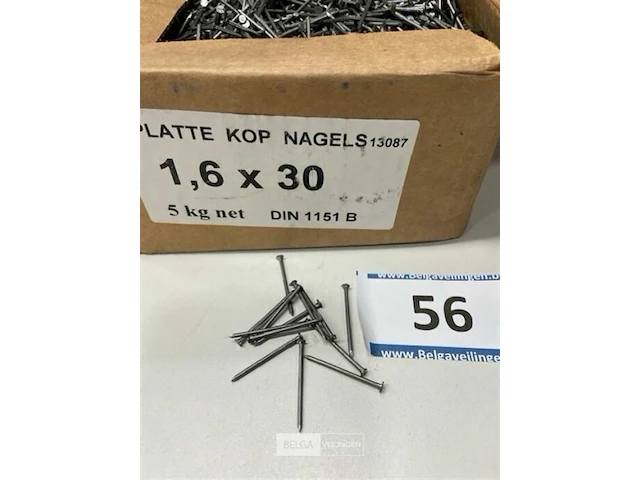 5 kg nagels met platte kop 1,6 x 30 - afbeelding 2 van  3