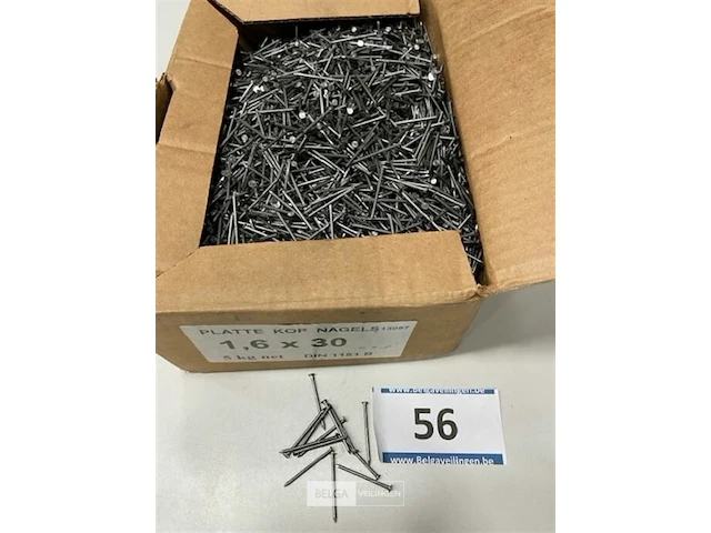 5 kg nagels met platte kop 1,6 x 30 - afbeelding 3 van  3