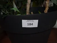 5 kunstof sierplanten in pot - afbeelding 2 van  8