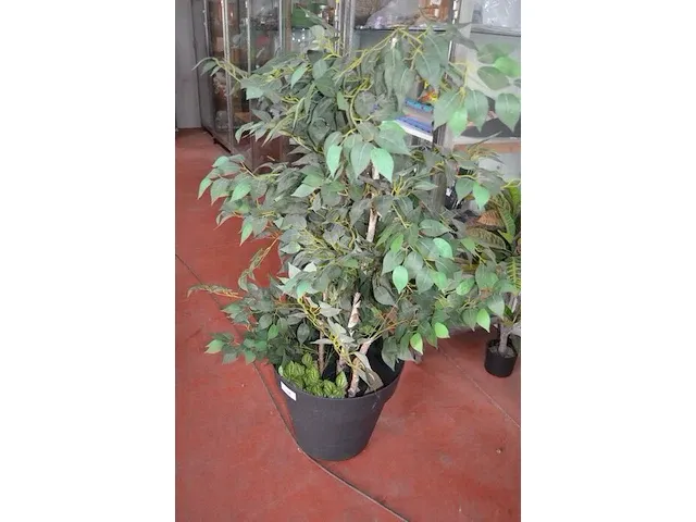 5 kunstof sierplanten in pot - afbeelding 3 van  8