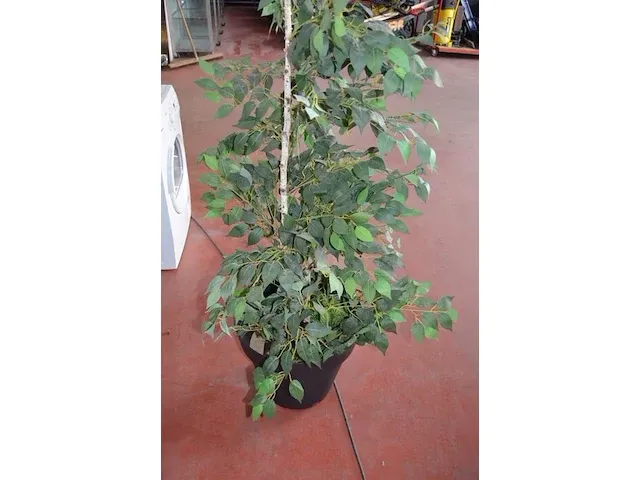 5 kunstof sierplanten in pot - afbeelding 4 van  8
