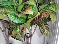 5 kunstof sierplanten in pot - afbeelding 6 van  8