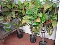 5 kunstof sierplanten in pot - afbeelding 7 van  8