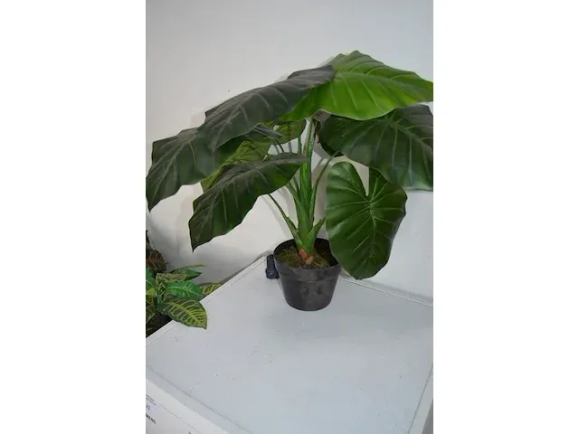 5 kunstof sierplanten in pot - afbeelding 8 van  8