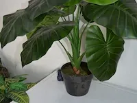 5 kunstof sierplanten in pot - afbeelding 8 van  8