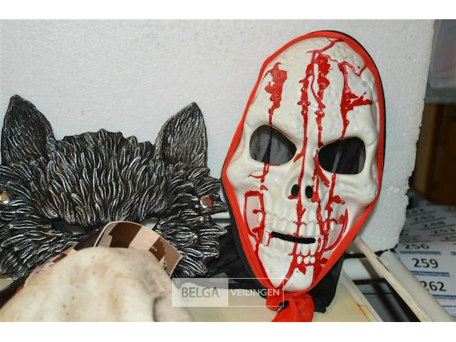 5 maskers - afbeelding 2 van  5