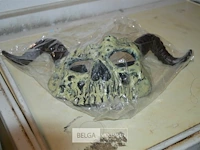 5 maskers - afbeelding 4 van  4