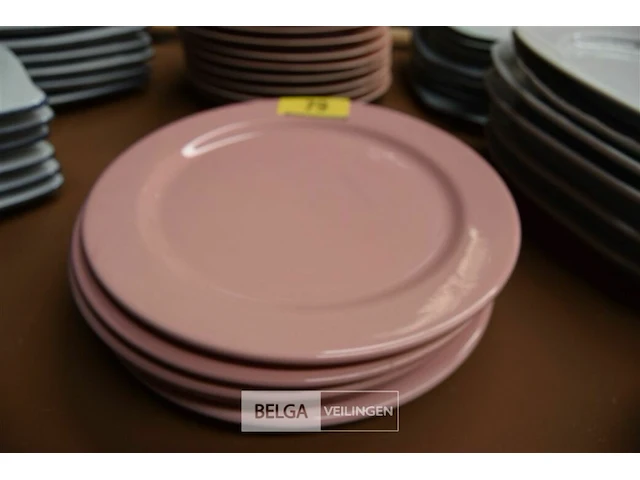 5 platte borden ø 31 cm - afbeelding 1 van  1
