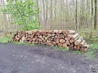 5 stère linde - afbeelding 1 van  1