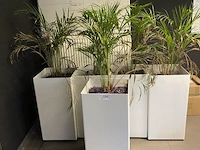 5 verrijdbare witte bloembakken - afbeelding 2 van  4
