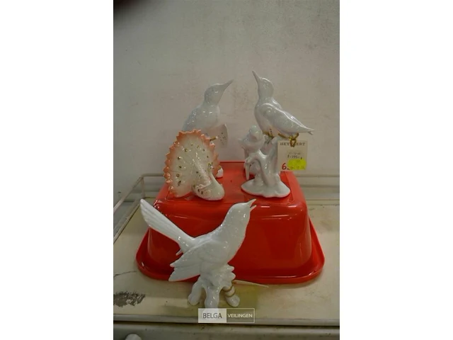 ±5 vogels in bak - afbeelding 1 van  3