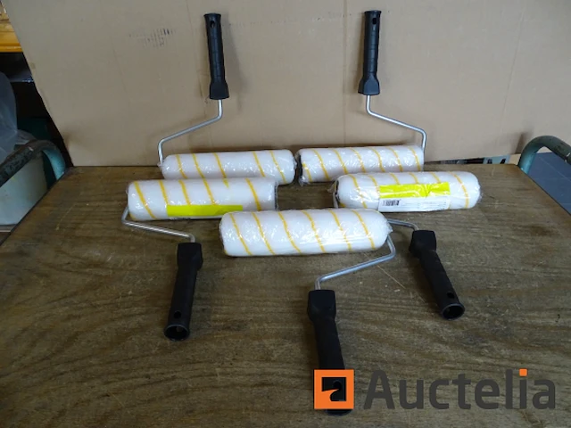 5 wand- en plafondverfrollers met handvat - afbeelding 1 van  6
