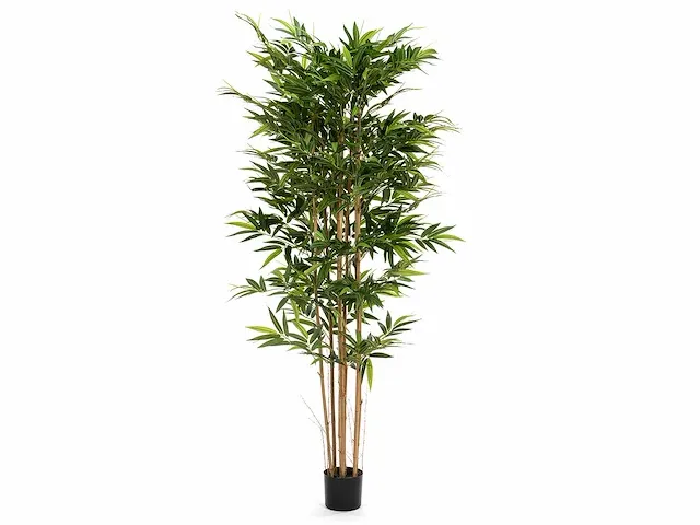 5 x grote bamboeboom - kunstplant - 200 cm - afbeelding 1 van  6