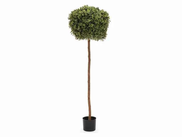 5 x grote buxusboom - kunstplant - 150 cm - afbeelding 1 van  6