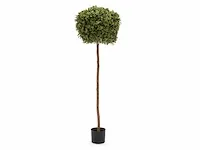 5 x grote buxusboom - kunstplant - 150 cm - afbeelding 1 van  6