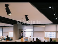 5 x gu10 opbouwarmatuur – draaibaar 350°/70° – ø55x110 mm – aluminium – ip20 – binnen - afbeelding 4 van  5