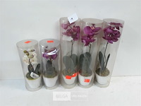 5 x kunstbloem in pot 2 assorti - afbeelding 1 van  3