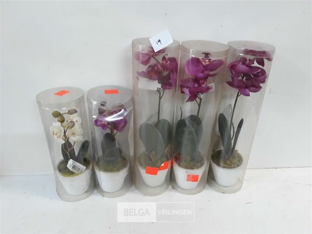 5 x kunstbloem in pot 2 assorti - afbeelding 2 van  3